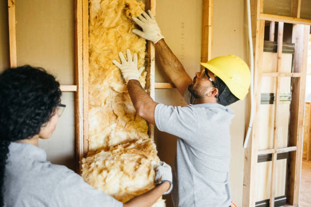 Best Insulation for New Construction  in Elwood, NY